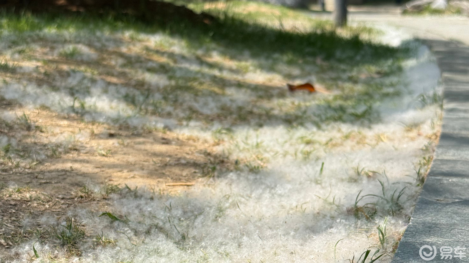 奥迪Q5L车主转投XC60：家人的安全健康才是真顶配！