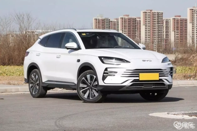 Q07 vs 宋PLUS DM-i:哪家更适合家庭用车